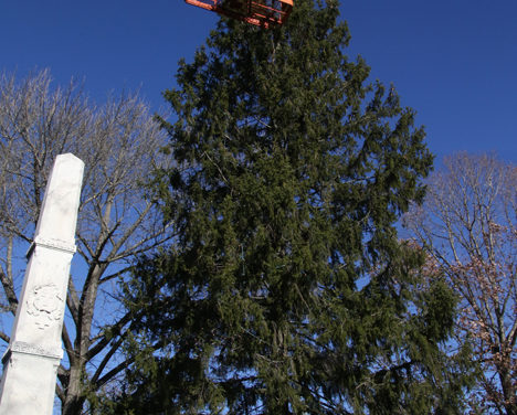 Tree lighting to usher in start of Christmas season