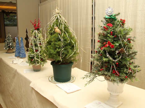 Christmas season opens with Festival of Trees