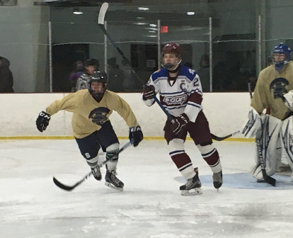 LHS represented on Shepaug hockey team