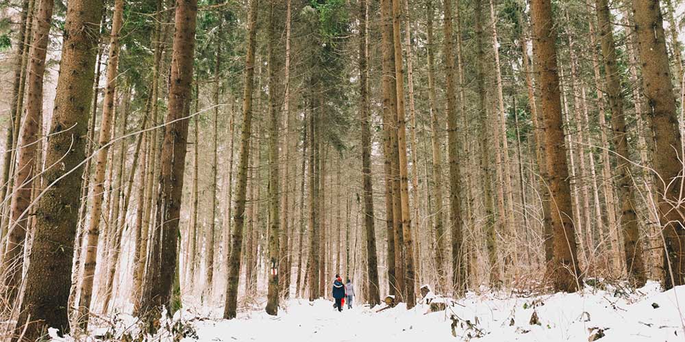 New Year’s Day walk slated at Topsmead