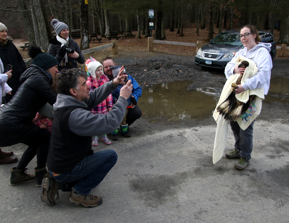 Rehabilitated bald eagle back in the sky