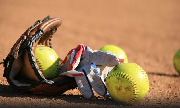 Co-ed softball league in the works