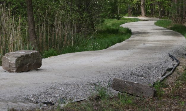 Funding in place for greenway boardwalk