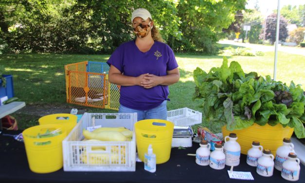 Goshen farmers market hits summer stride