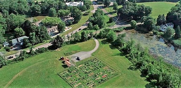 Litchfield Community Garden blossoming