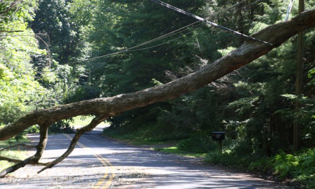 Number of power outages is decreasing