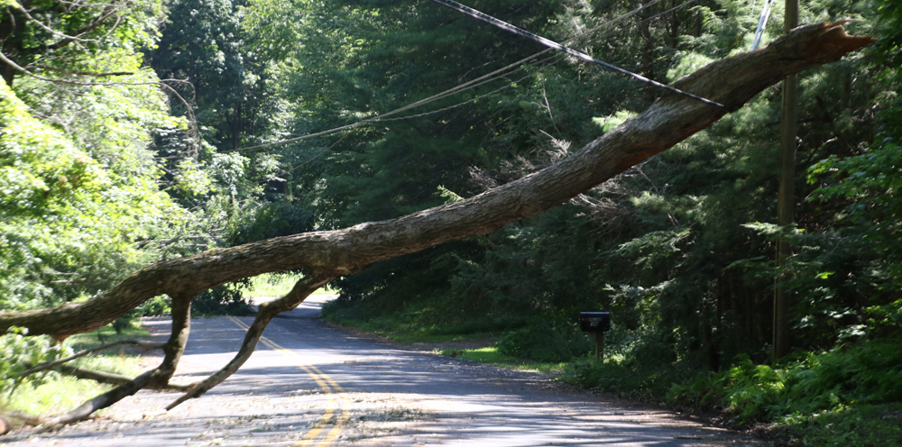 Number of power outages is decreasing