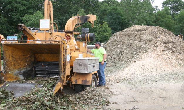 Town to provide weekend brush collection