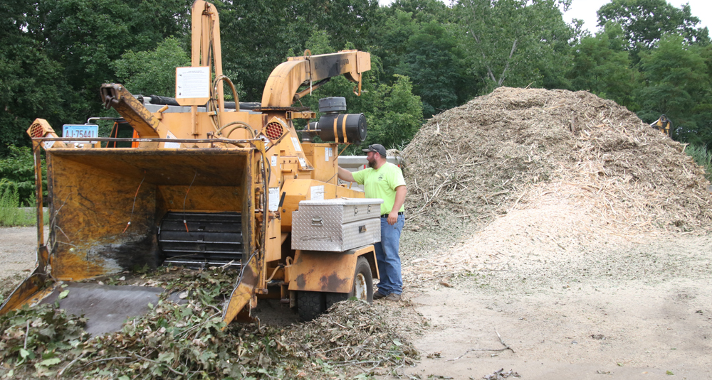 Town to provide weekend brush collection