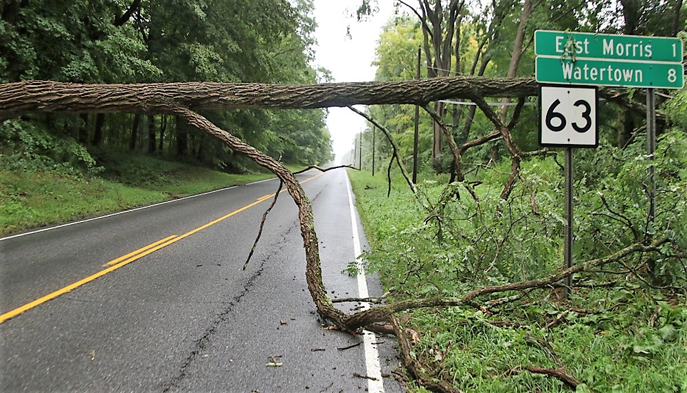 Thunderstorm delivers a strong punch