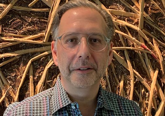 Ripley conservancy names new director