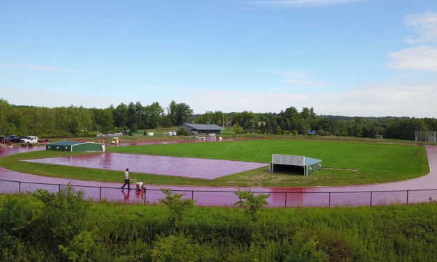 Plumb Hill track resurfacing well underway