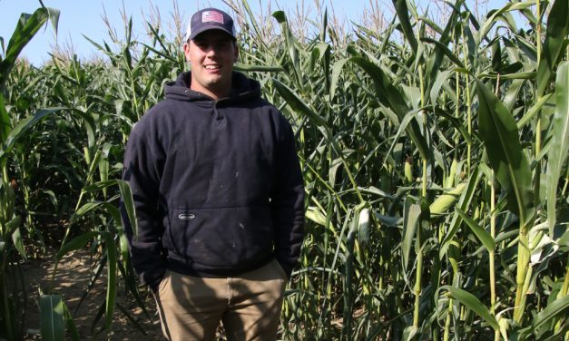 Corn maze a tribute to the late Joe Bunnell