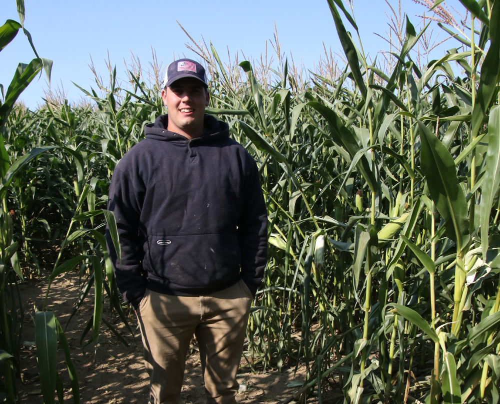 Corn maze a tribute to the late Joe Bunnell