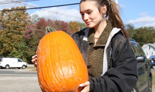 Pumpkins are on display in East Morris
