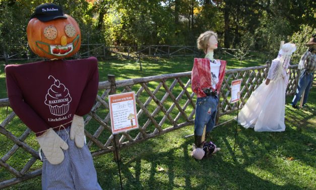 Scarecrows a colorful sight in meadow