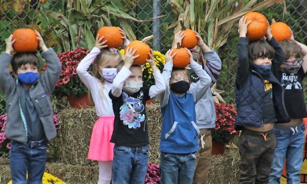Center School creates a pumpkin patch