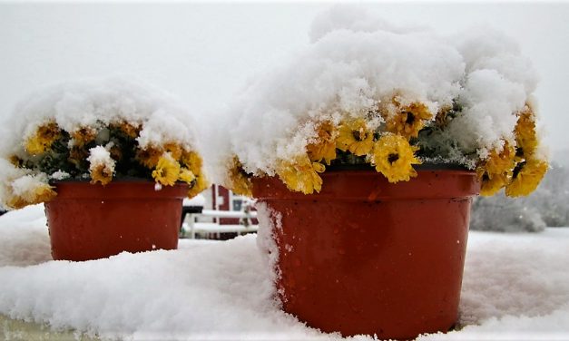 Winter makes an early appearance