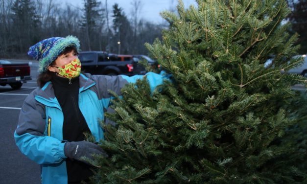 Bantam Christmas tree sale is underway