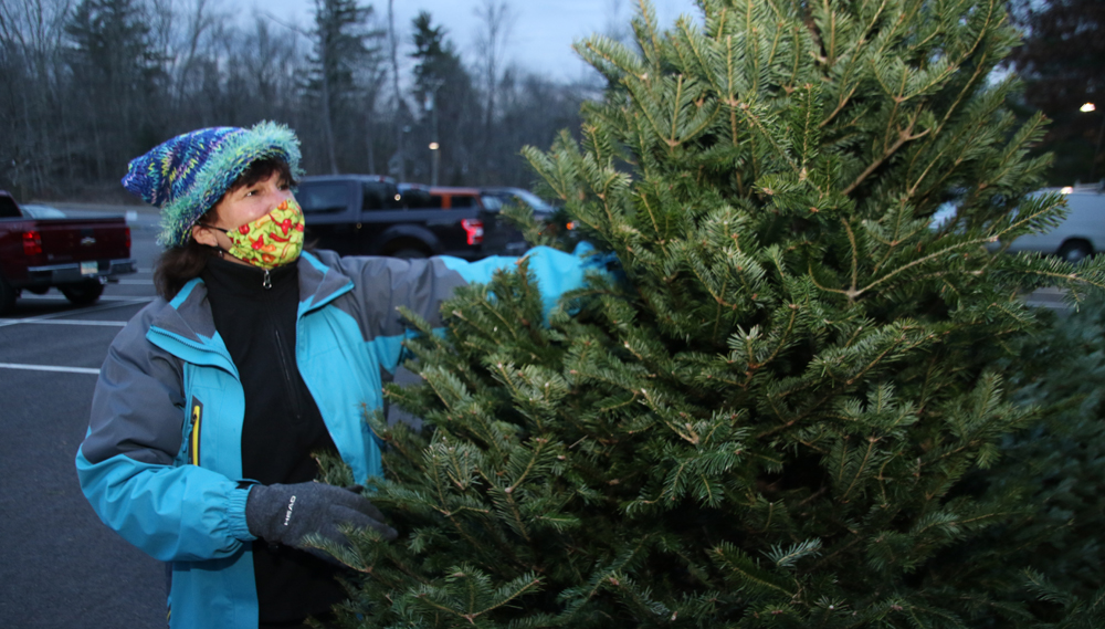 Bantam Christmas tree sale is underway