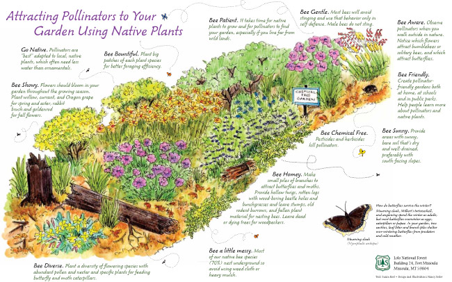 Pollinator Pathways: What are they?