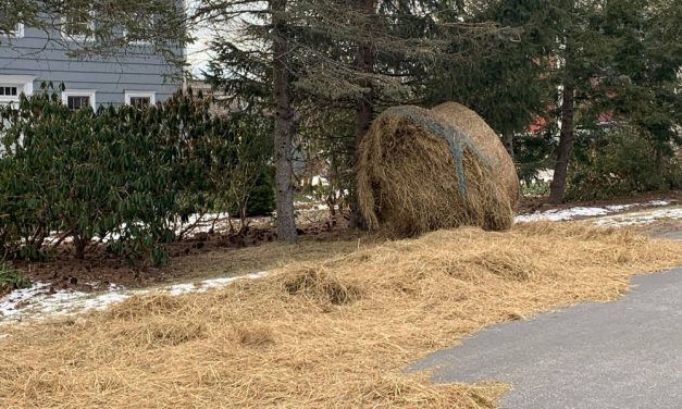 The great hay escape: roll spills on road