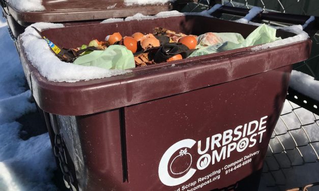 Taxpayers can take a bite out of trash costs