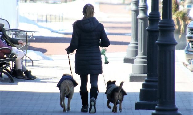 Dog owners face fines for not picking up