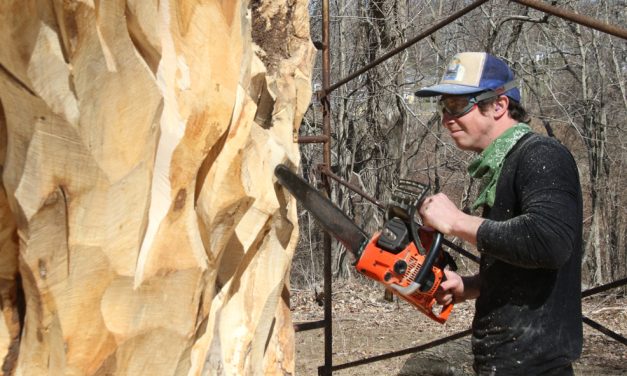 Making sculptures out of tree trunks