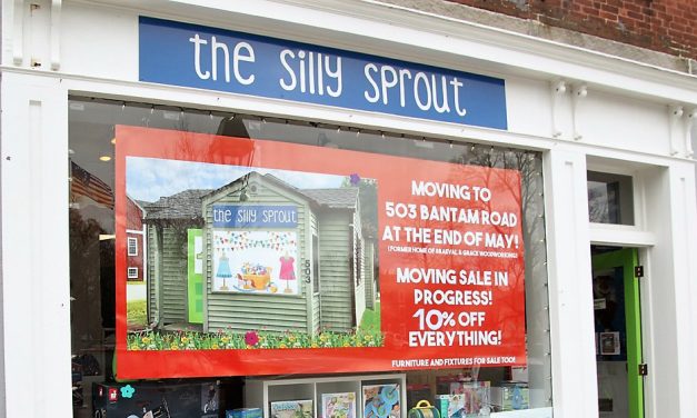 The Silly Sprout on the move in late May