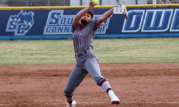 Ex-Wamogo pitchers having college success