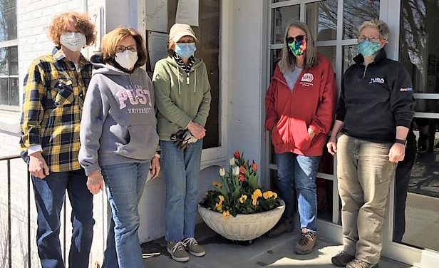 Commission members plant spring flowers