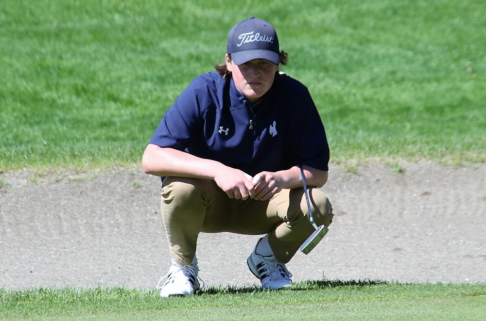 Perfection continues for Litchfield golfers