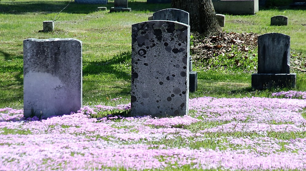 Milton cemeteries get spring spruce-up