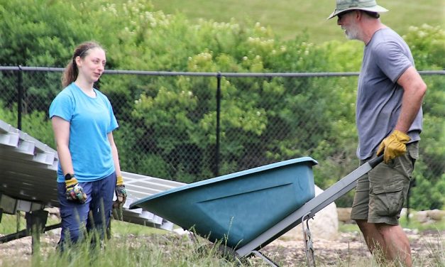 Volunteers continue project at solar field