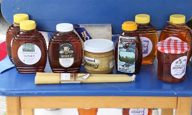 Litchfield farmer’s market opens outdoors