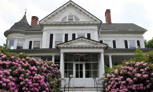 Commission to hear plan for Rose Haven