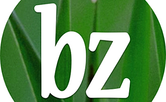 BZ going to subscription starting July 1