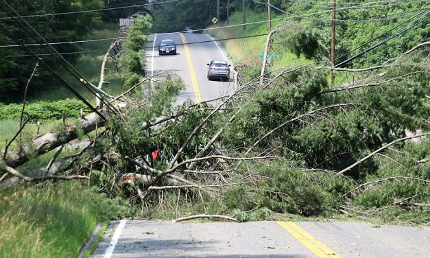 Storm knocks out power, blocks roads