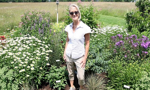 A celebration of Topsmead’s new garden