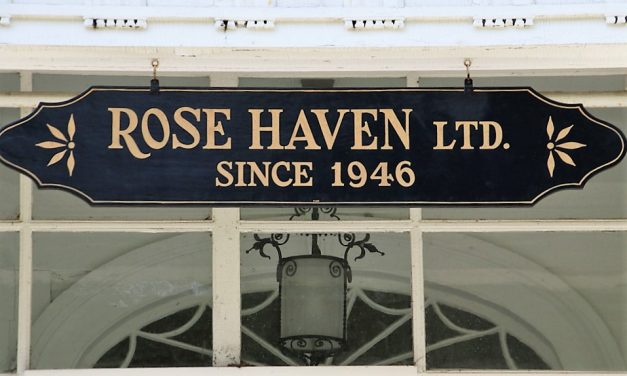 Vision for Rose Haven aired for commission