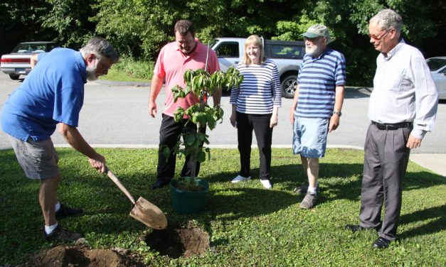 Rotary Club leads beautification effort