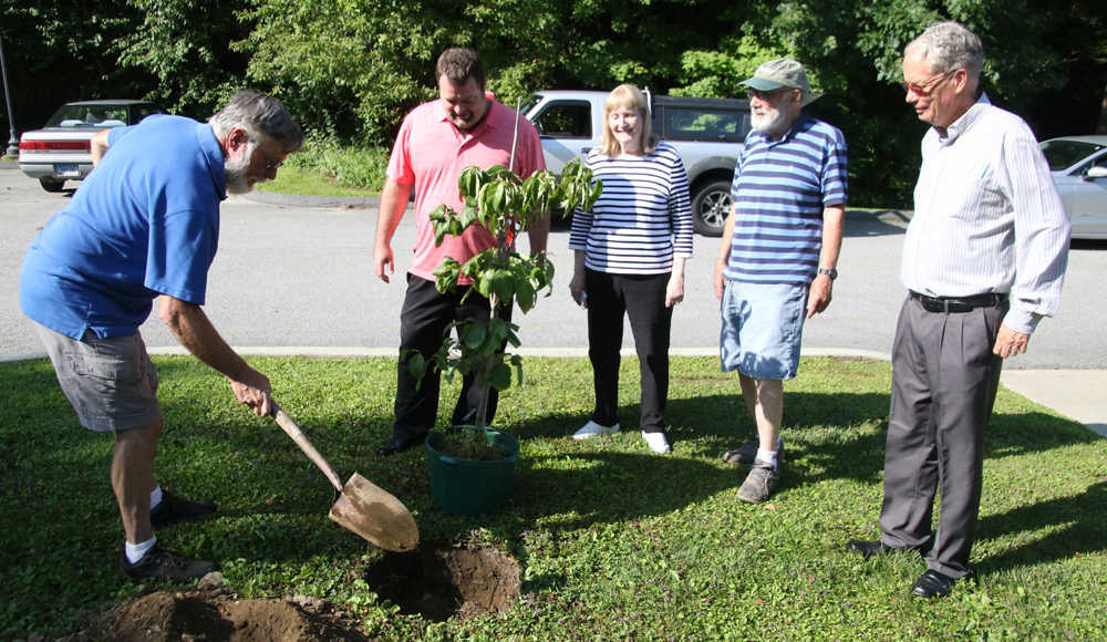 Rotary Club leads beautification effort