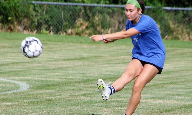 Fall sports preview: Litchfield girls soccer