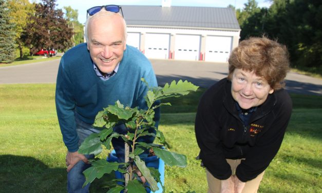 Markelon donates trees on 9/11 anniversary