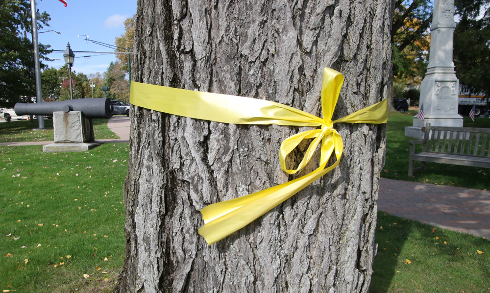 Yellow ribbons on Green are ordered down