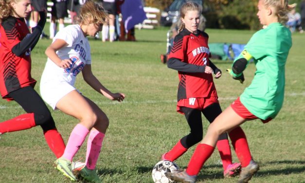 Brady tough in net in Wamogo soccer losses