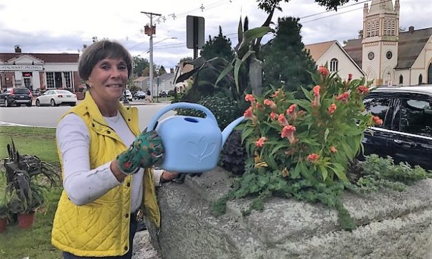 Garden club plants seasonal arrangements