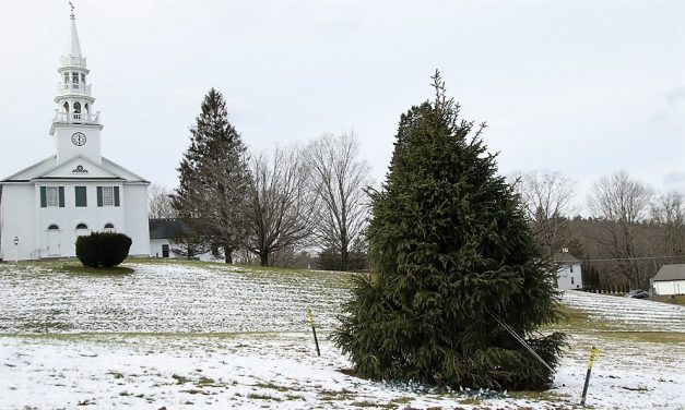 Getting in the swing for Christmas, locally