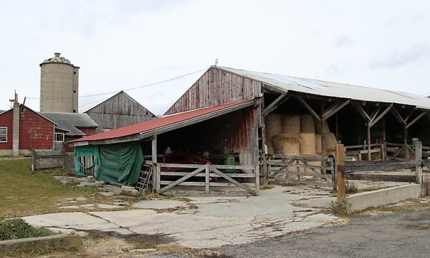 Warren Land Trust to add large parcels